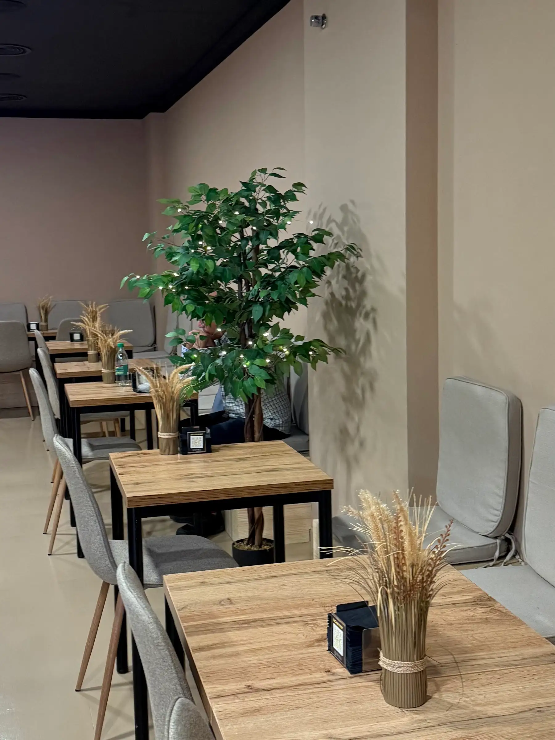 El comedor: mesas de madera, sillas grises y un ficus